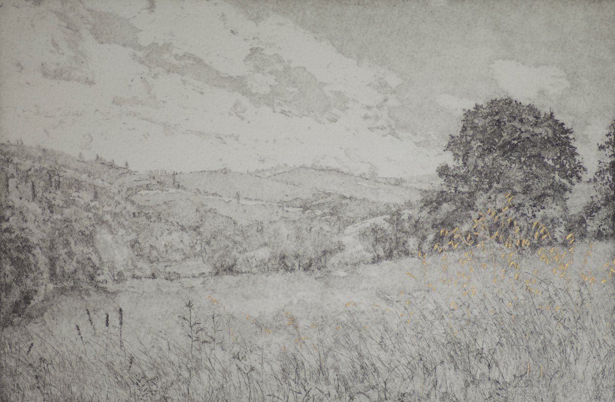Golden day, 2016, etching, aquatint and hand colouring on paper by angus hampel