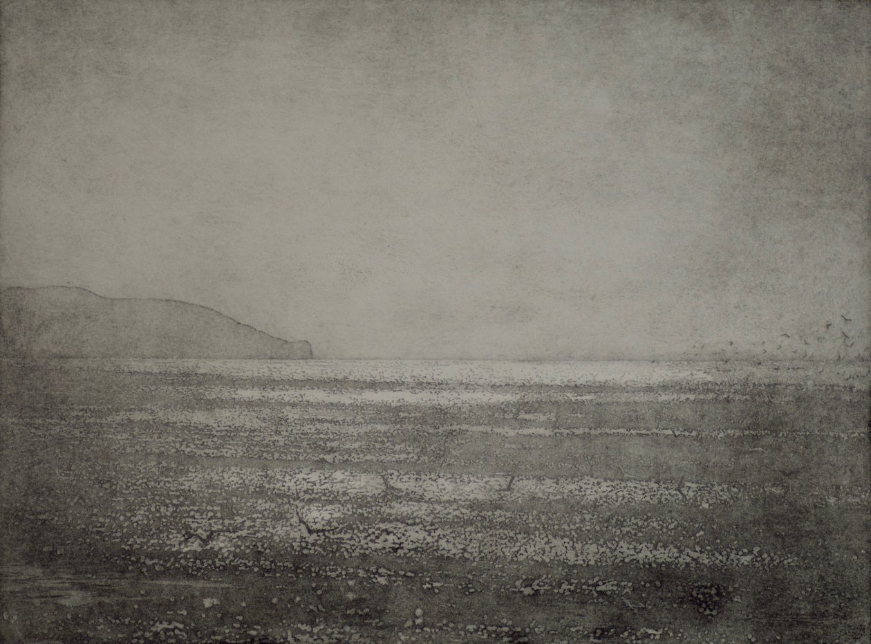 Play, 2017, Etching and aquatint on paper by angus hampel