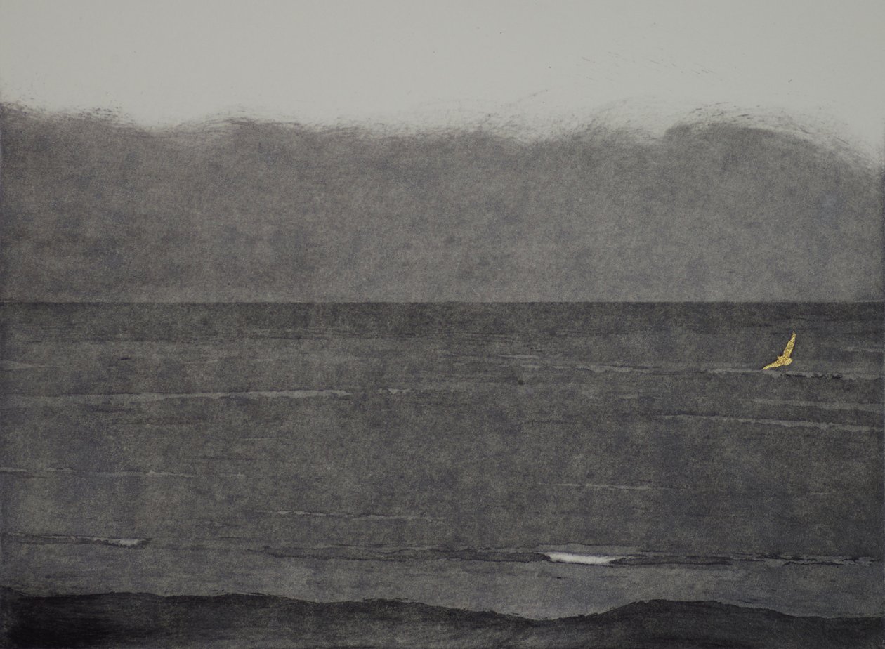 Silent flight, 2017, etching, aquatint and hand colouring on paper by angus hampel