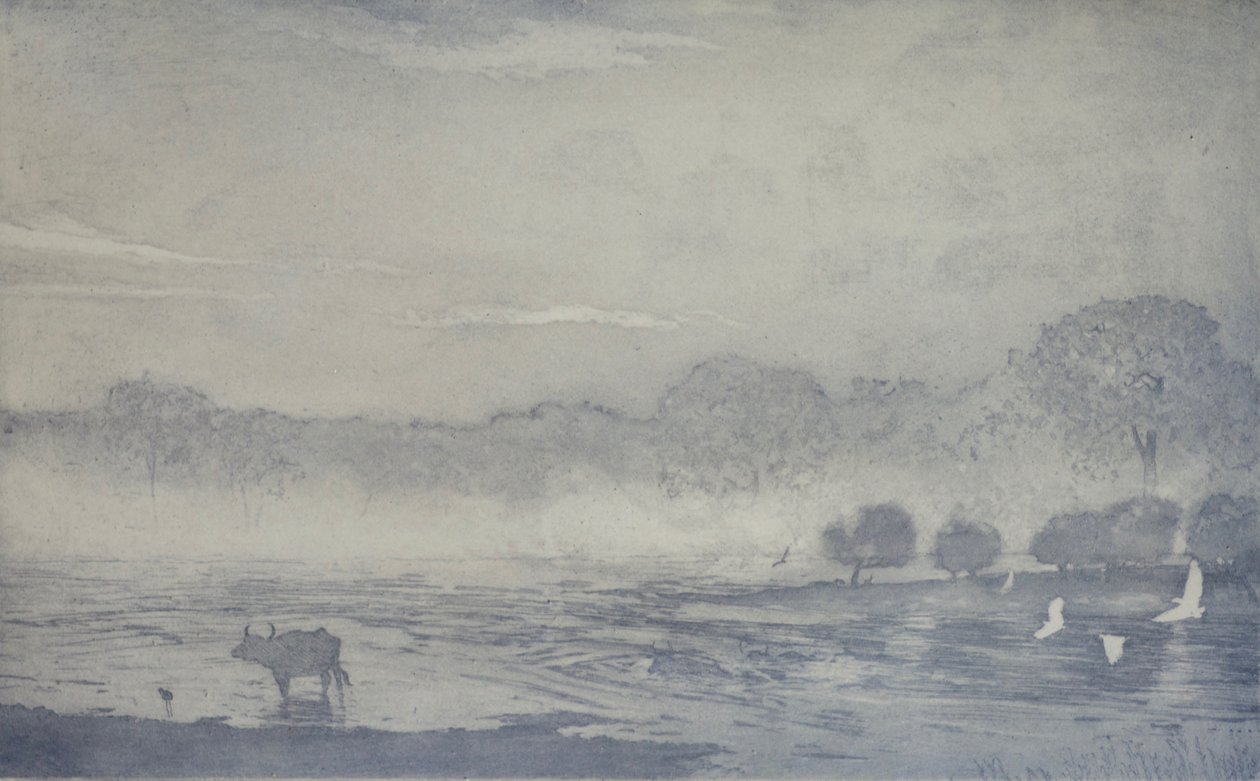 Three buffalo, 2017, etching and aquatint on paper by angus hampel