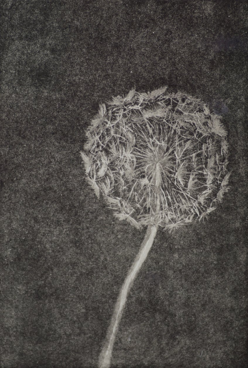 Kina, 2017, Etching na aquatint kumpapuro by angus hampel