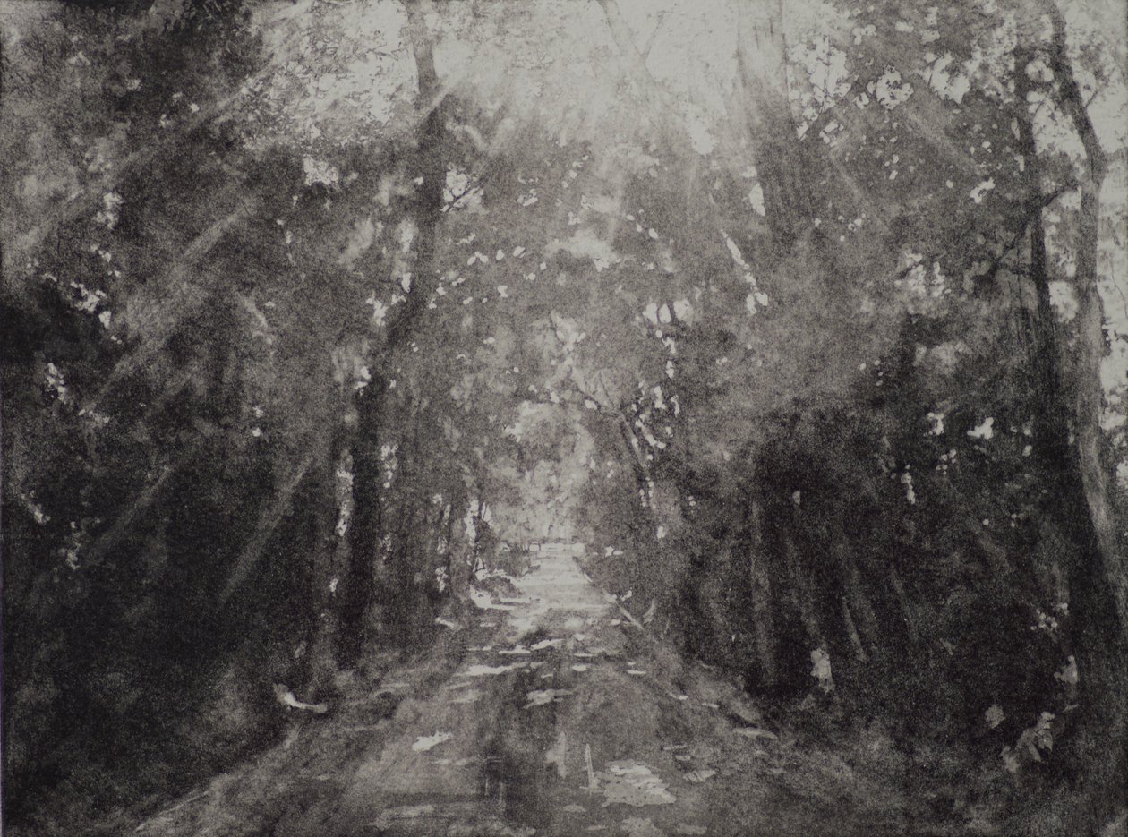 Hallelujah II, 2017, etching and aquatint on paper by angus hampel