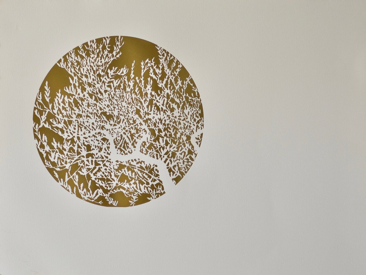 Hidden wisdom, 2017, hot stamping leaf roll on paper by angus hampel