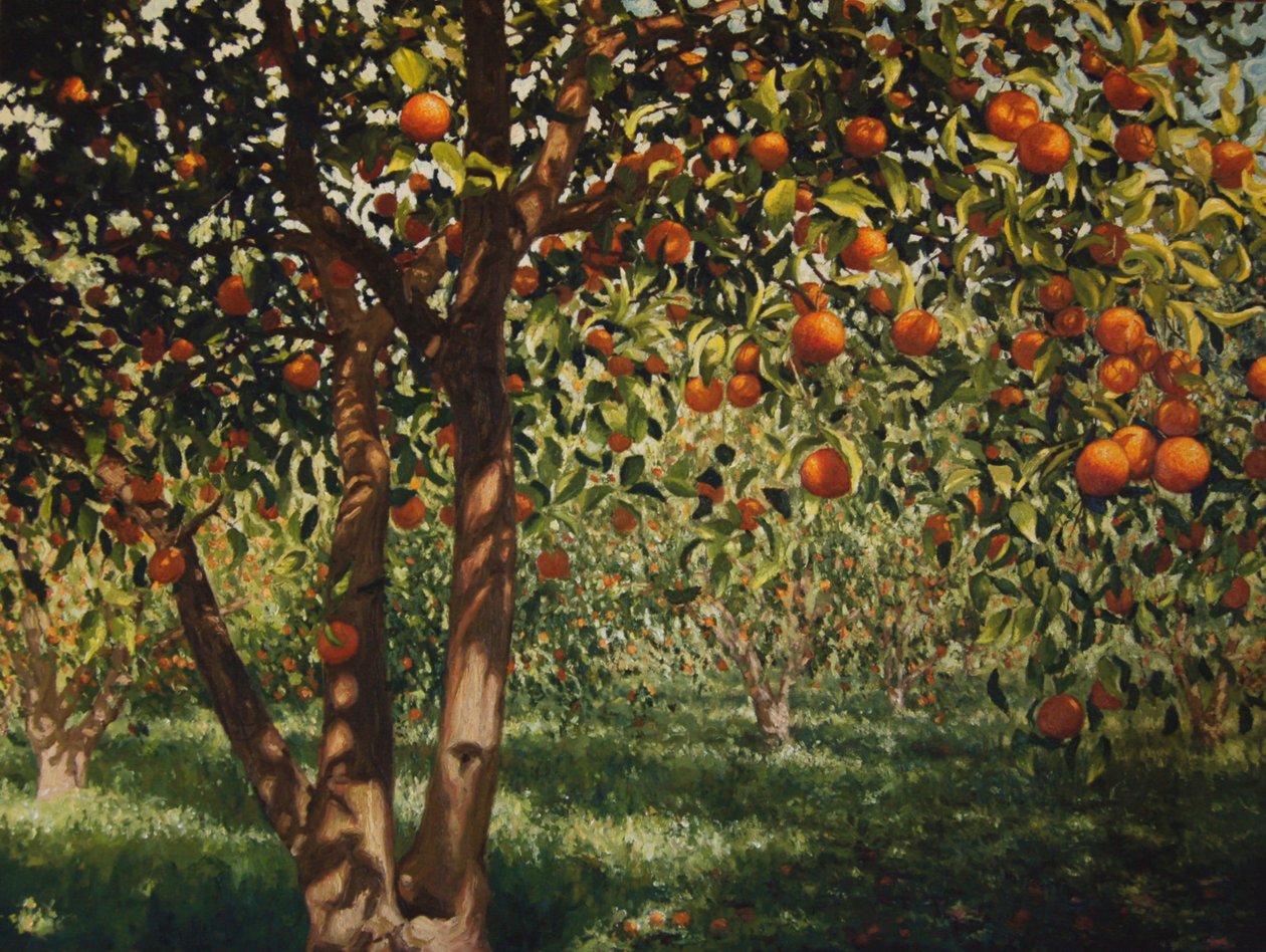 Portakalların Altında Sessizlik II, 2012, tuval üzerine yağlı boya by angus hampel