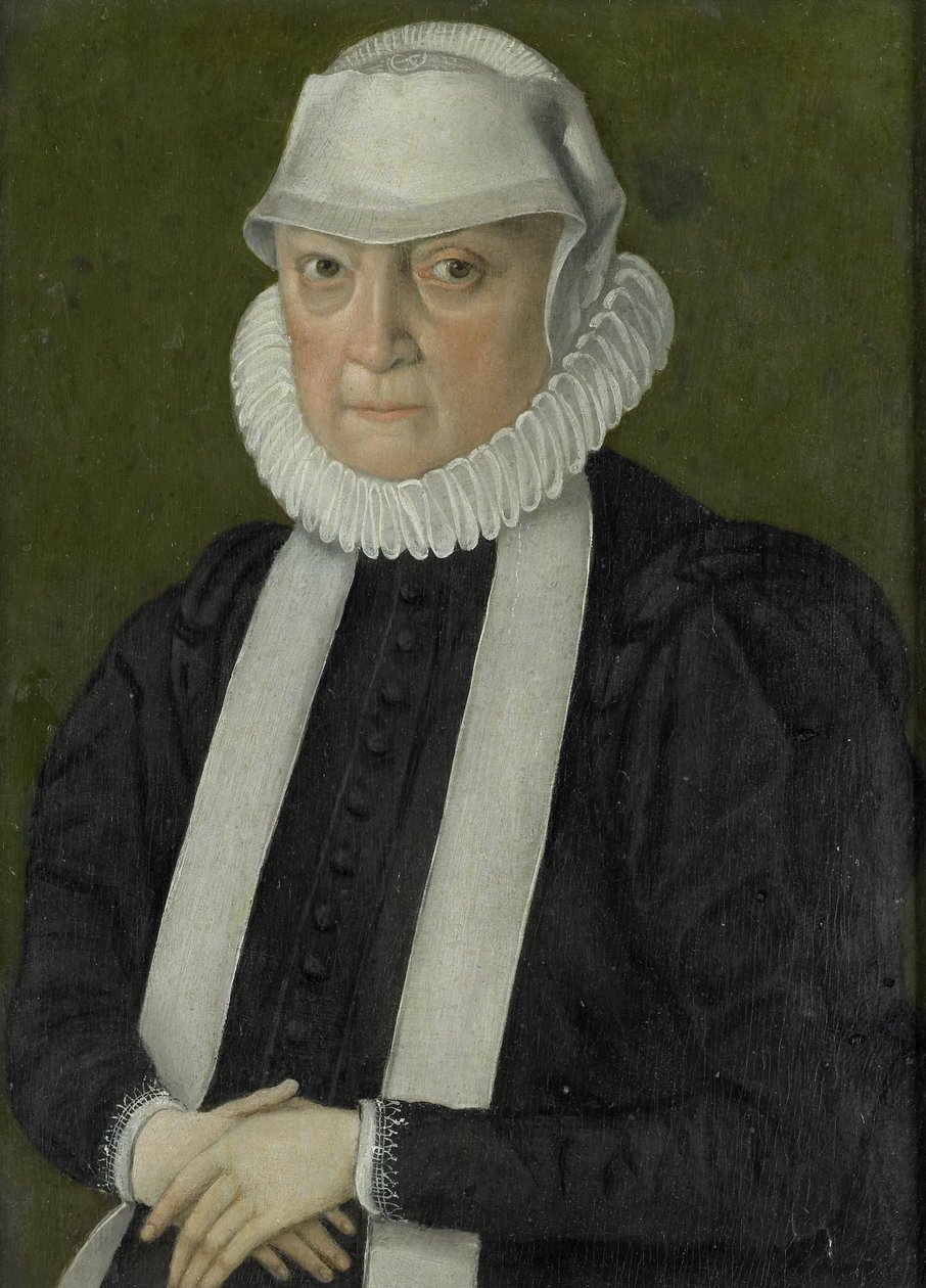 Bir Kadının Portresi, muhtemelen Anna Jagellonia, Polonya Kraliçesi by anonymous (possibly)
