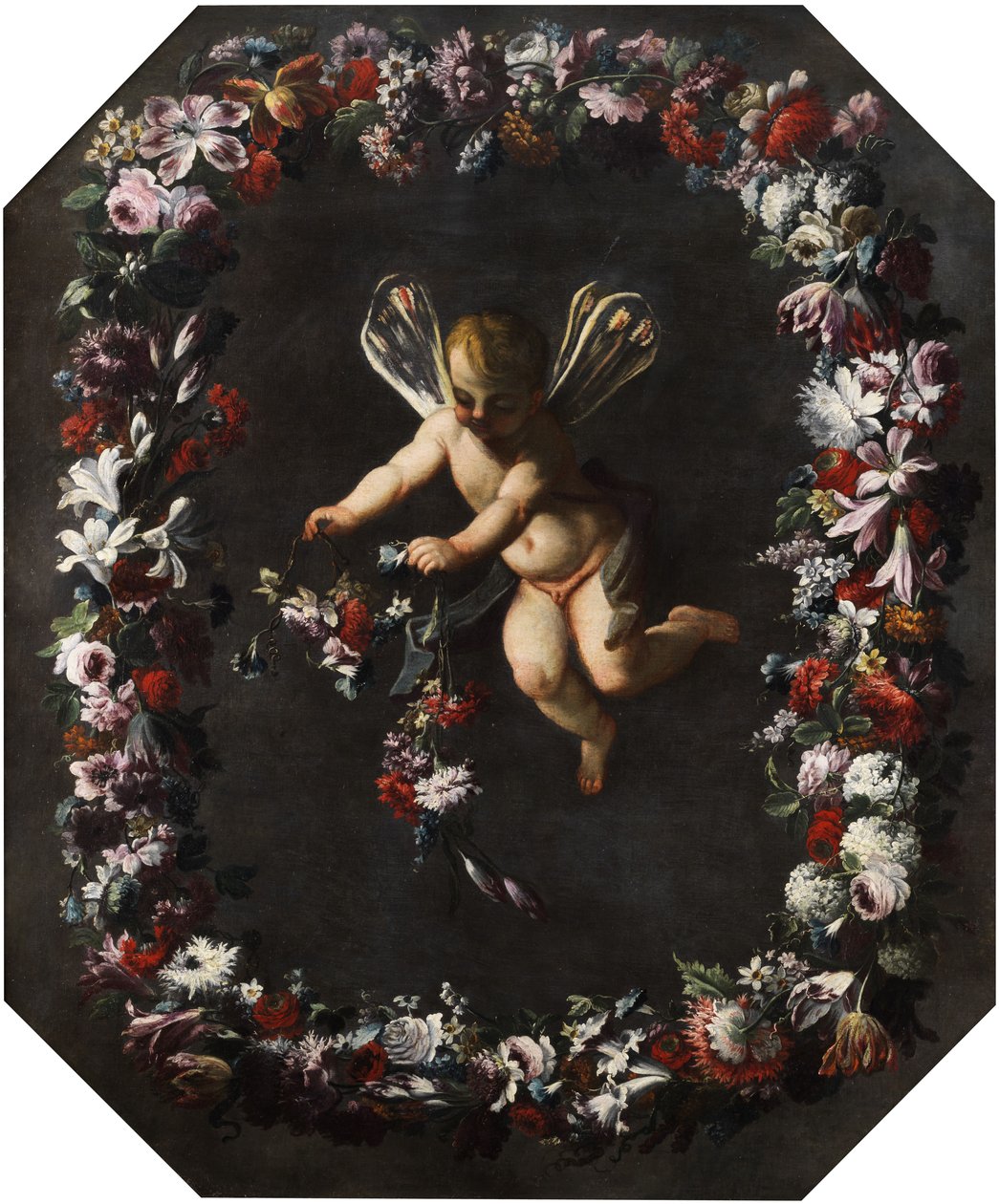 Çiçek çelengi içinde yusufçuk kanatlı putto. Tuval üzerine yağlıboya. 191 x 161 cm by attributed to Giovanni Stanchi Dei Fiori