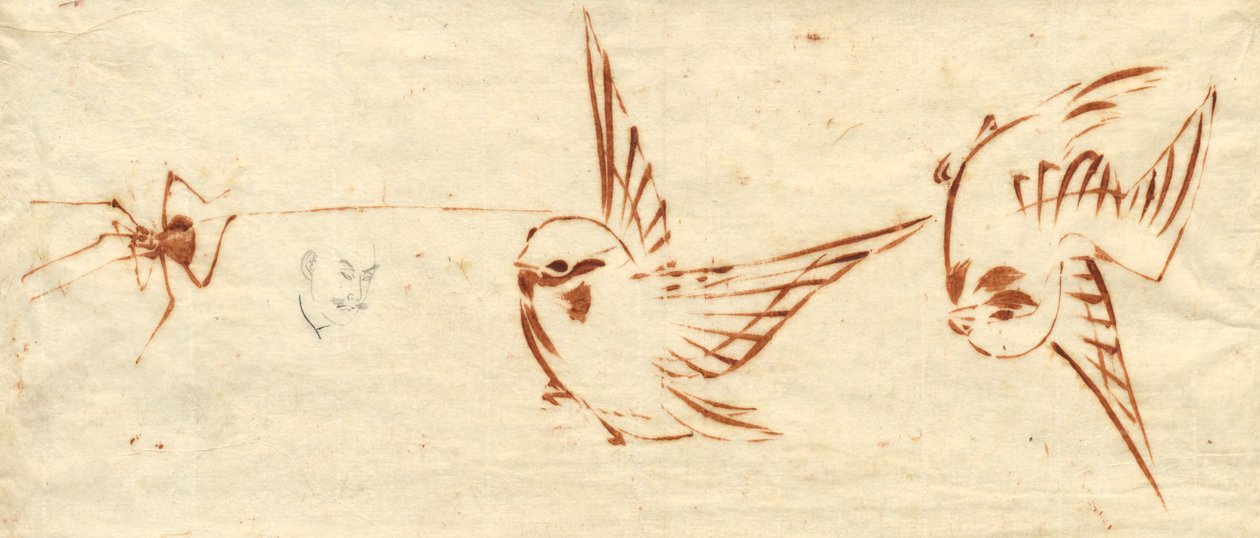 Kuşlar ve Örümcek Çizim Sayfası by attributed to Katsushika Hokusai