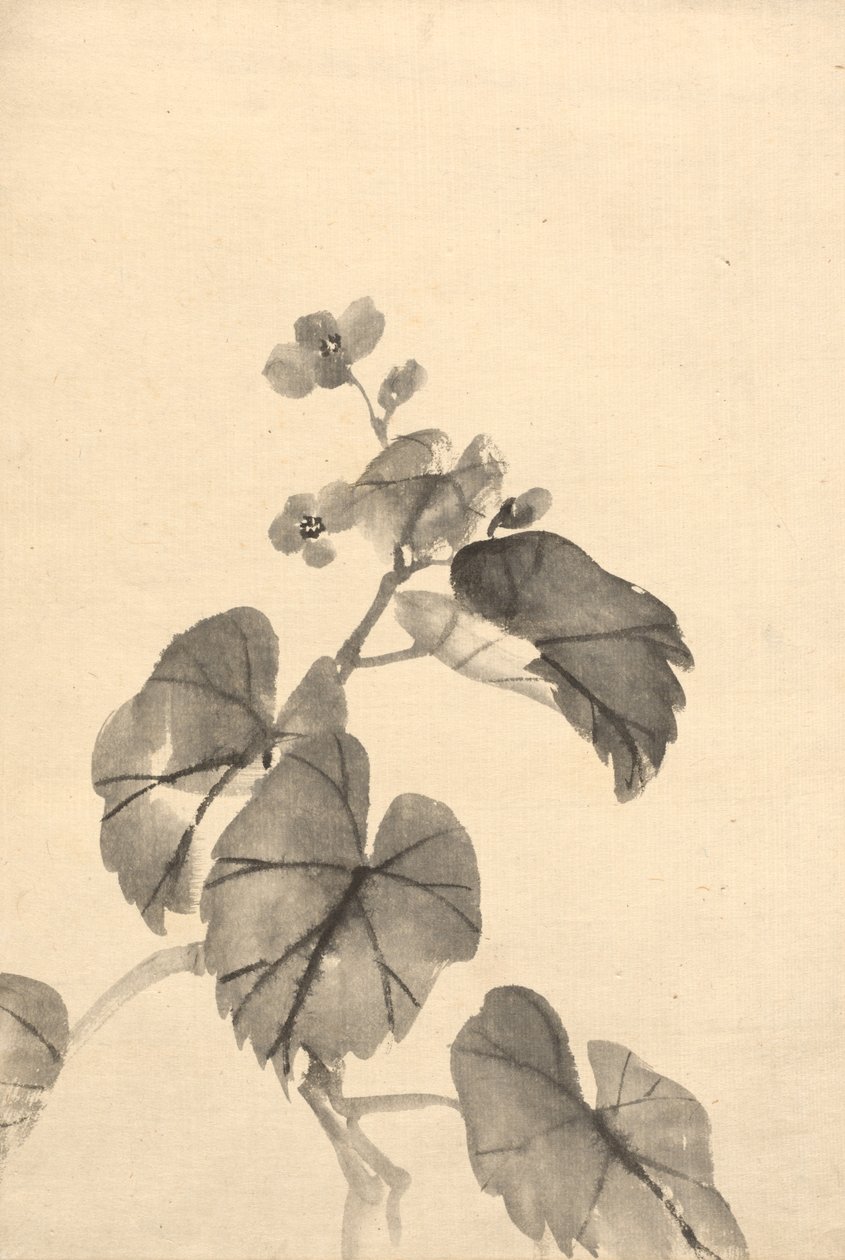 Bloom'da Begonya Dalı by attributed to Kono Bairei