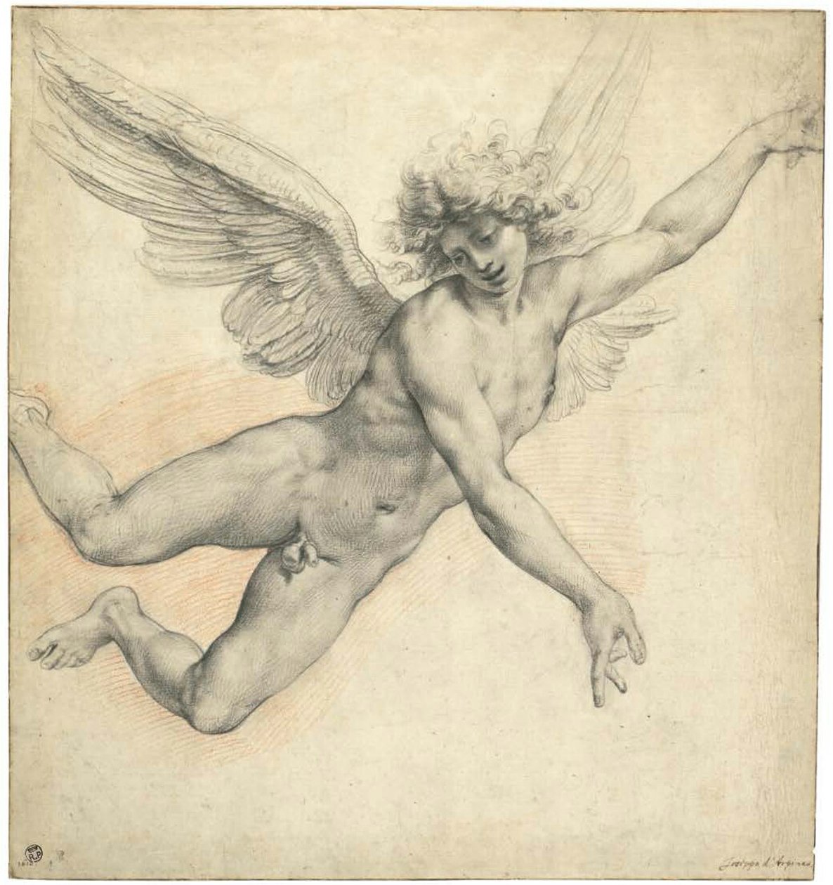  by called Cavaliere d