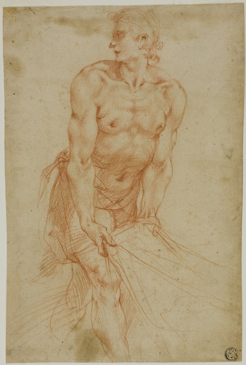  by called Cavaliere d