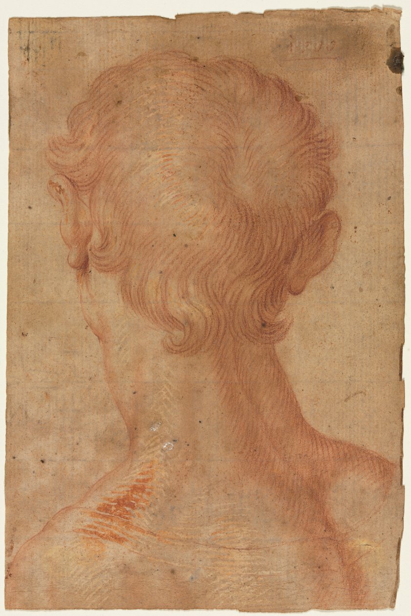 Adamın Kafası Arkadan by copy after Agnolo Bronzino