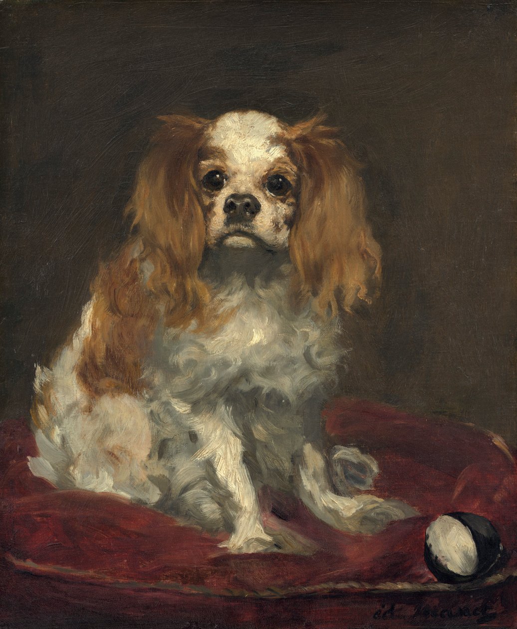 Bir Kral Charles Spaniel by Édouard Manet