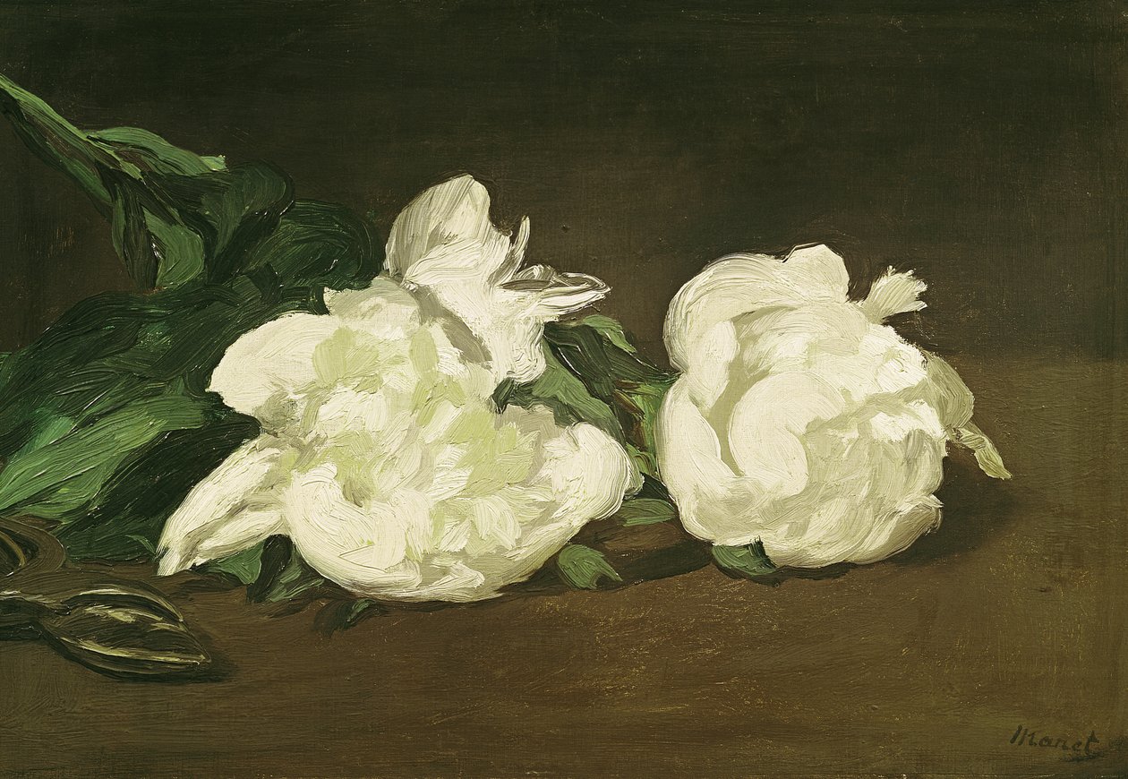 Beyaz Peonies ve Secateurs Şubesi, 1864 by Édouard Manet