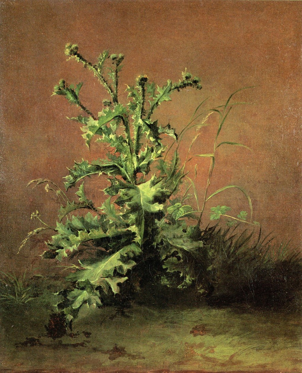 chardonlar by Édouard Manet