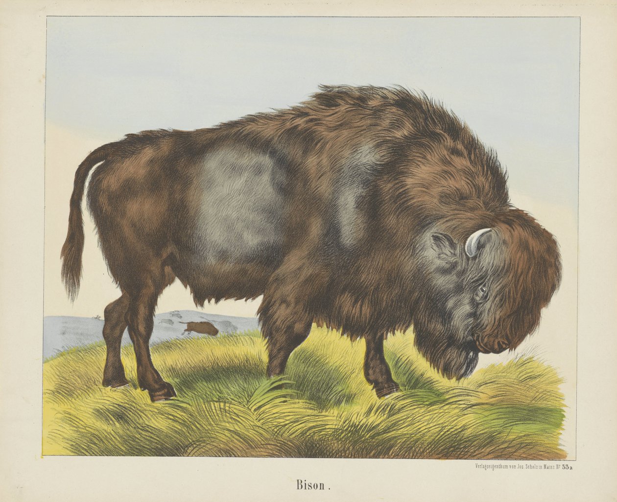 Bizon (nesne üzerindeki başlık) by firma Joseph Scholz