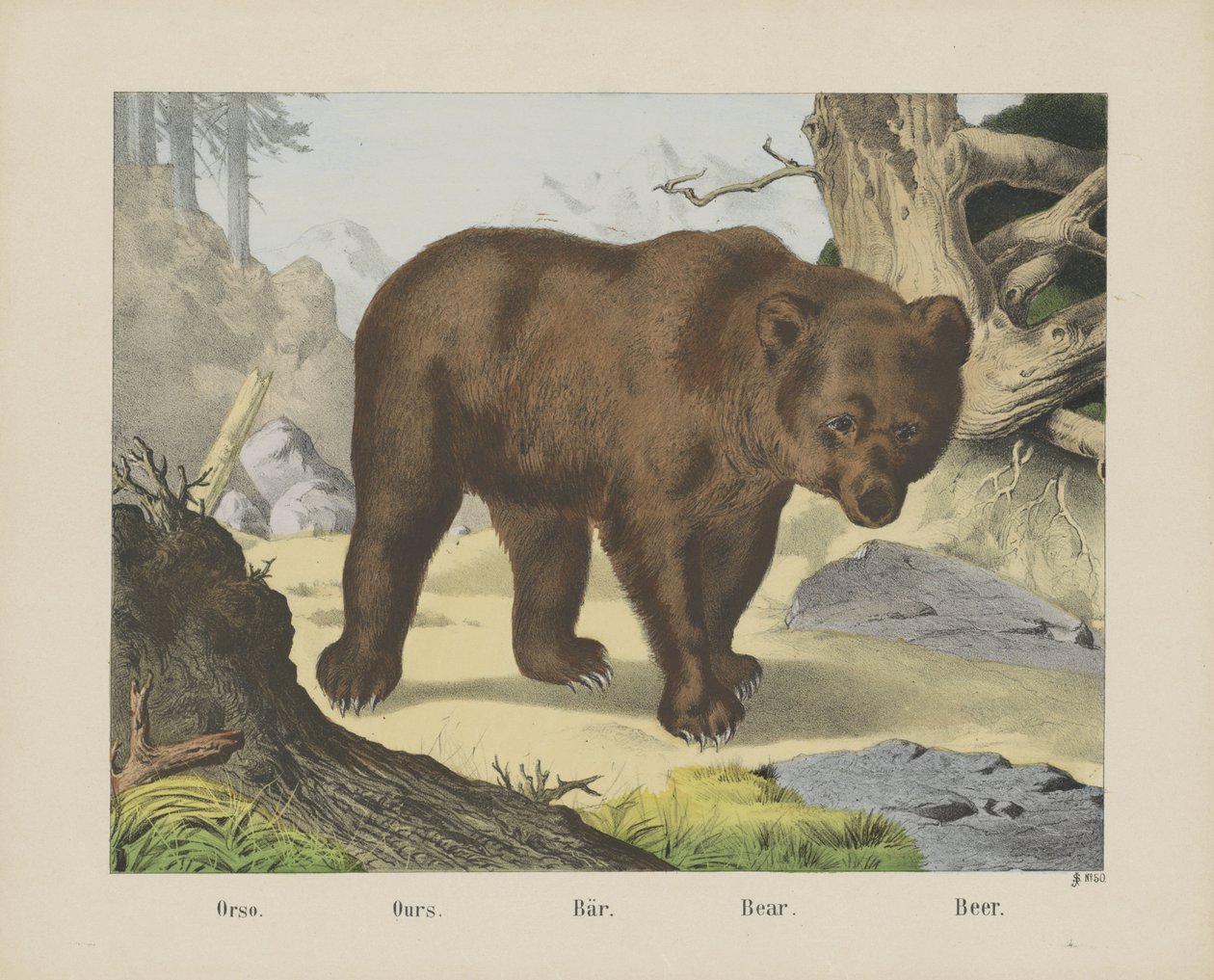 Orso. / Bizimki. / Çubuk. / Ayı. / Bira (nesne üzerindeki başlık) by firma Joseph Scholz