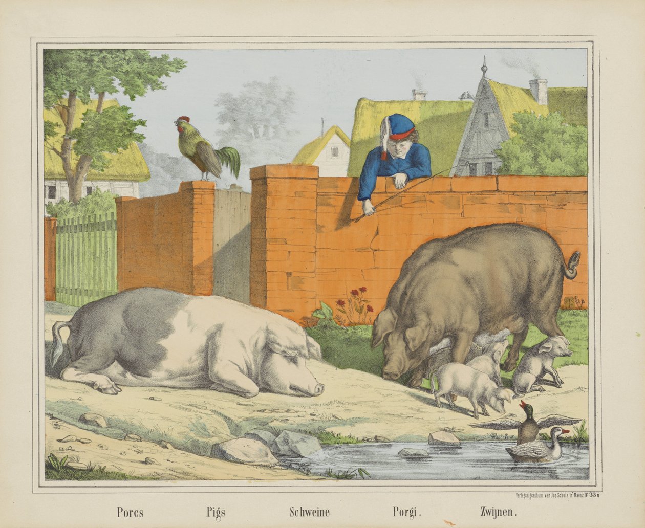 Porcs / Domuzlar / Schweine / Porgi. / Domuzlar (nesne üzerindeki başlık) by firma Joseph Scholz