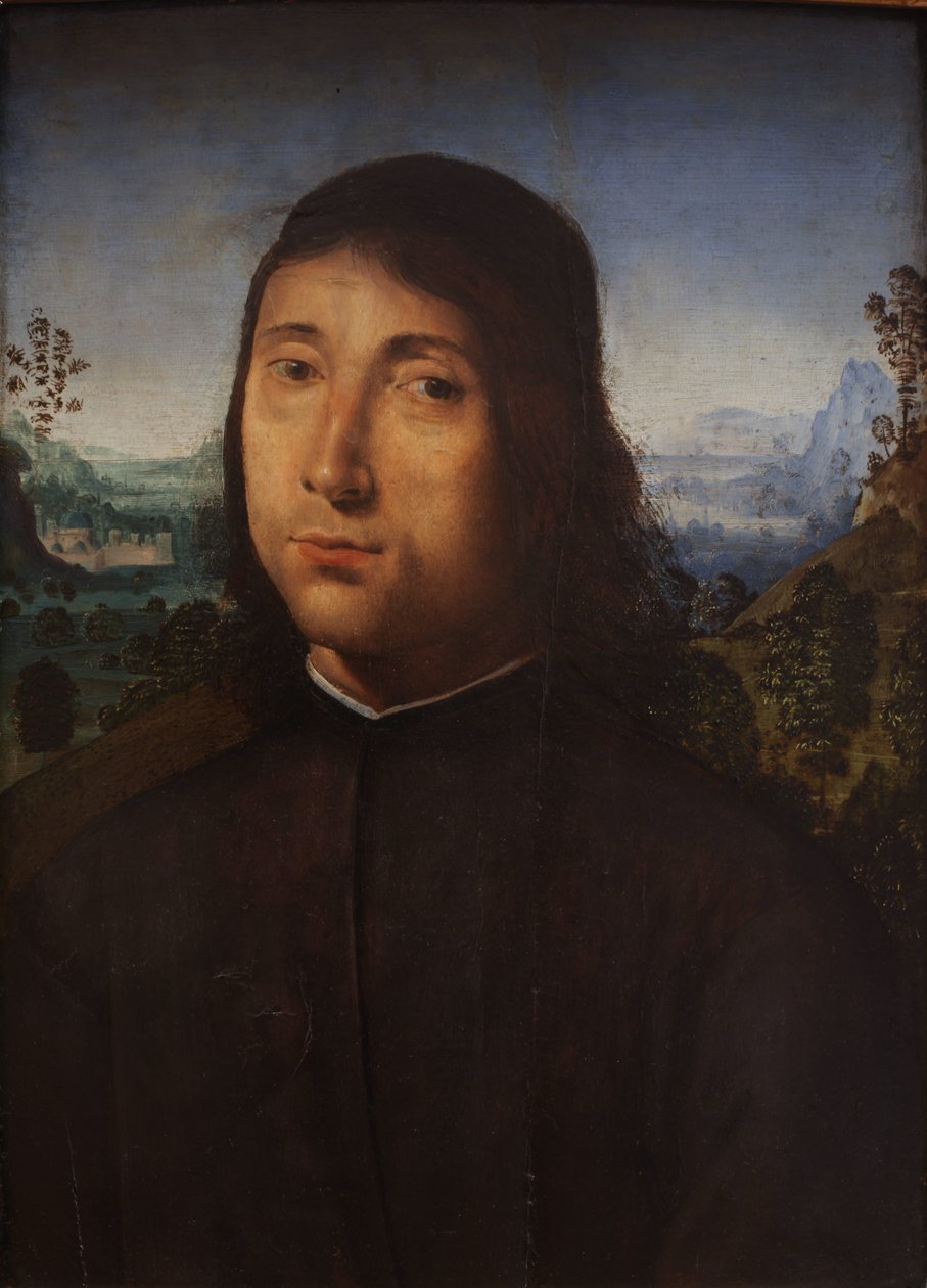 genç bir adam portresi by fl. in Florence in the late 15th century.