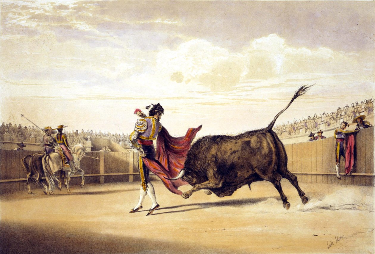 Matador pelerini çalarken boğa hücum ediyor by lake Price