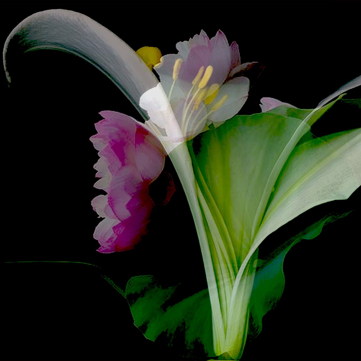  by linda arthurs