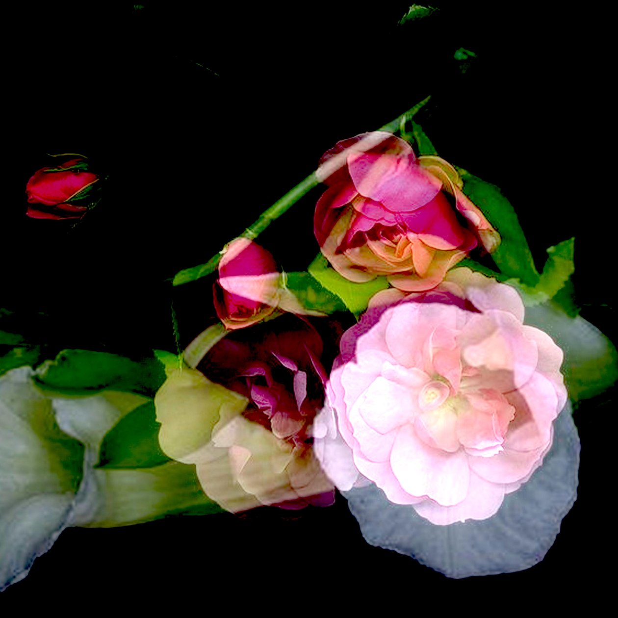  by linda arthurs