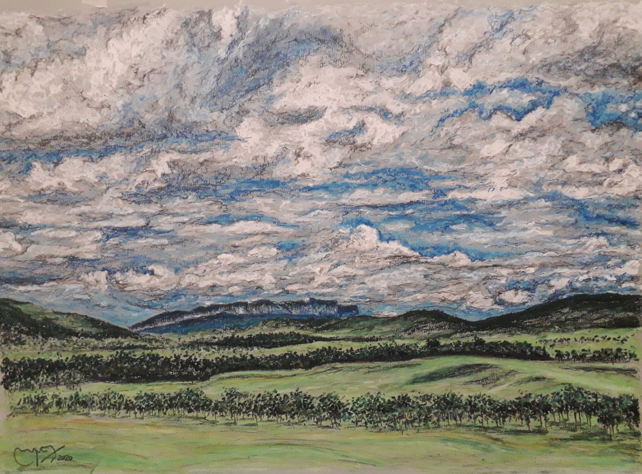 GRAN SABANA VENEZUELA by miguelmendez_art.ve
