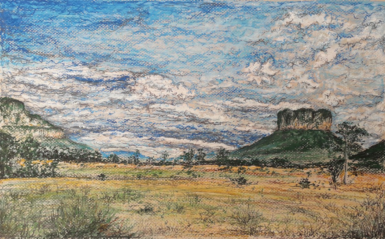 GRAN SABANA VENEZUELA by miguelmendez_art.ve