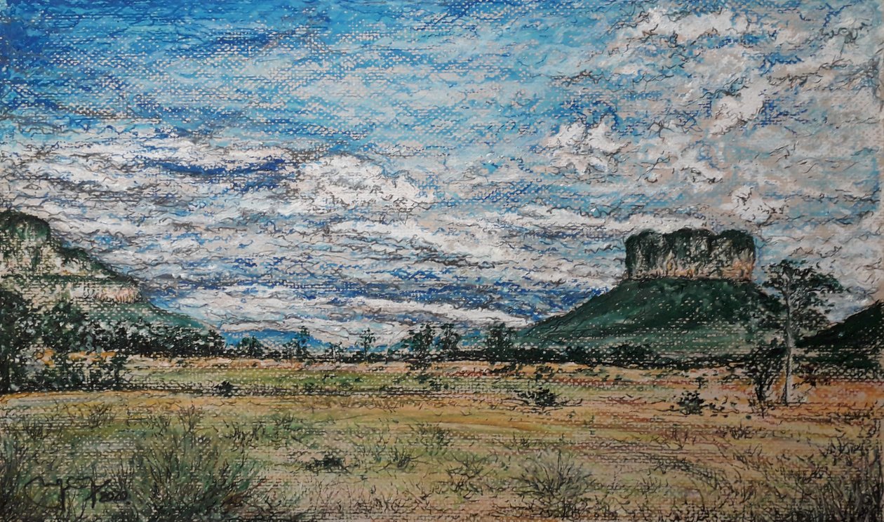 GRAN SABANA VENEZUELA by miguelmendez_art.ve