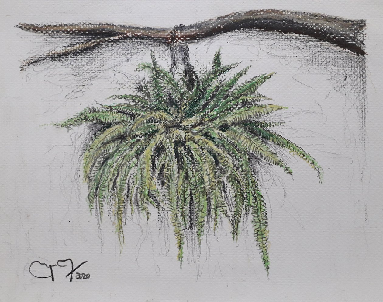 SÜS BİTKİ - EĞERN by miguelmendez_art.ve