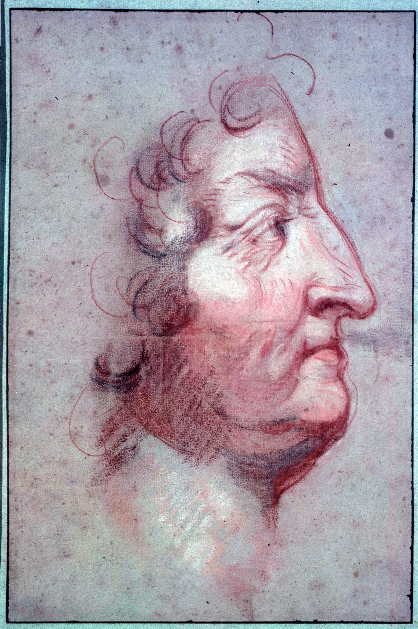 Fransa Kralı XIV. Louis yaşının (1638-1715) profil portresi Antoine Benoit du Cercle