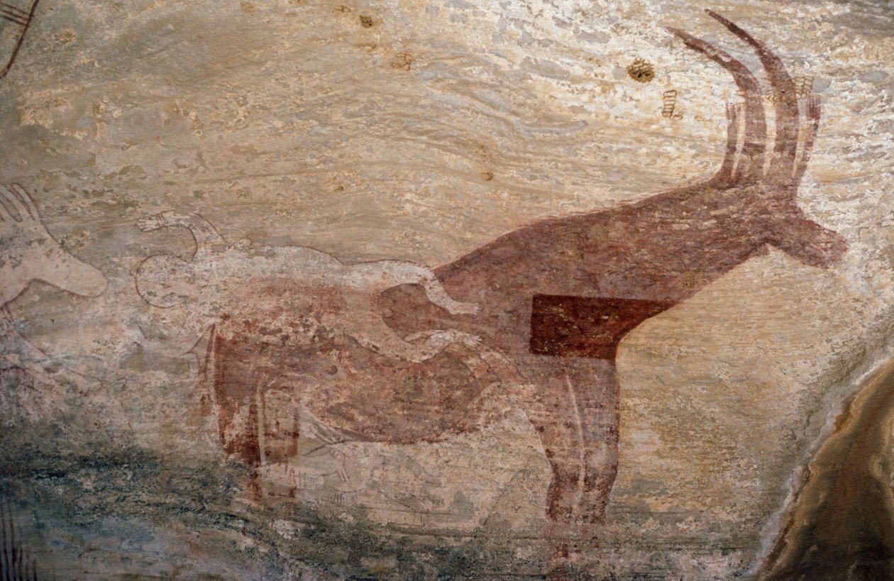 Tırnaklı hayvan, mağara resmi, Sephar, Tassili n