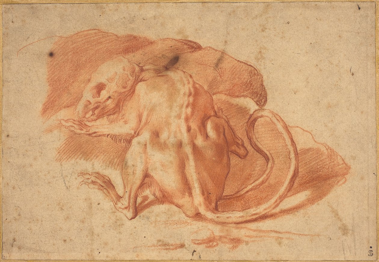 Kısmen Derili Bir Sıçan by possibly Florentine or Roman Italian 16th