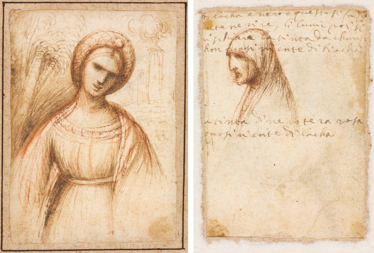 Manzaradaki Kadın (rekto); Yaşlı Bir Kadının Göğüs Boyu Profili (verso) by possibly by Dosso Dossi
