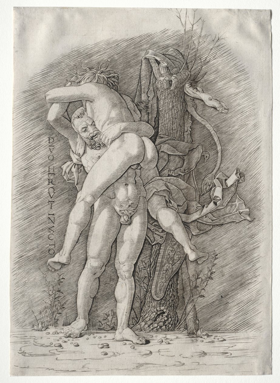 Herkül ve Anteus by school of Andrea Mantegna