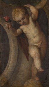 Kırmızı çiçekli putto, c.1548-88 (tuval üzerine yağlı boya) by Veronese