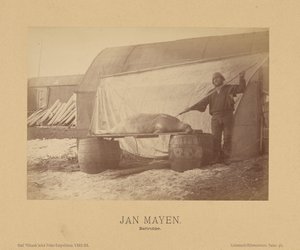 Jan Mayen, Bartrobbe by (Linienschiffs Lieutenant) Richard Basso