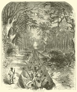 Kanalda çalışan zenciler, Mart 1863 (gravür)