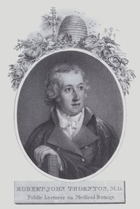 Robert John Thornton (taş) by (after) English School