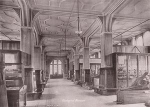 Owen#39;s College, Manchester: Jeoloji Müzesi (s/b fotoğraf) by (after) English photographer
