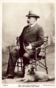 Merhum Kral Edward VII, en sevdiği köpek Caesar ile (s/b fotoğraf)