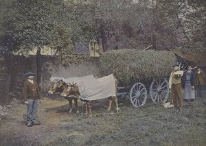 Attelage Bearnais (renkli fotoğraf) by (after) French Photographer