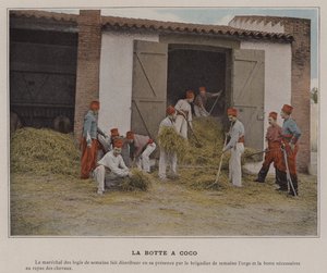 La Botte a Coco (renkli fotoğraf) by (after) French Photographer