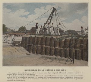 Chevre a Haubans