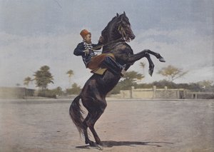 Nos Cavaliers (renkli fotoğraf) by (after) French Photographer