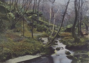 Vaux de Cernay, Les Cascades (renkli fotoğraf) by (after) French Photographer