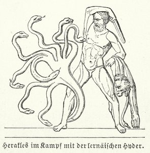  by (after) German School
