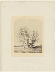  by 14th Earl of Caithness James Sinclair