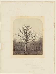  by 14th Earl of Caithness James Sinclair