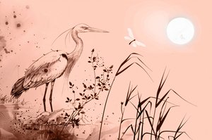 Su kenarında kayaların üzerinde duran balıkçıl kuşunun mürekkeple çizimi, yatak odası için duvar dekoru by F. Abderrahim