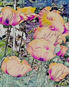  by Margareta Uliarte